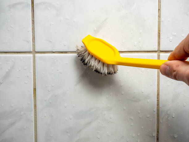 Best Office Mold Removal Services  in East Freehold, NJ
