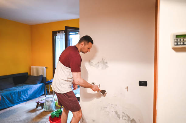 Best Home Mold Removal  in East Freehold, NJ
